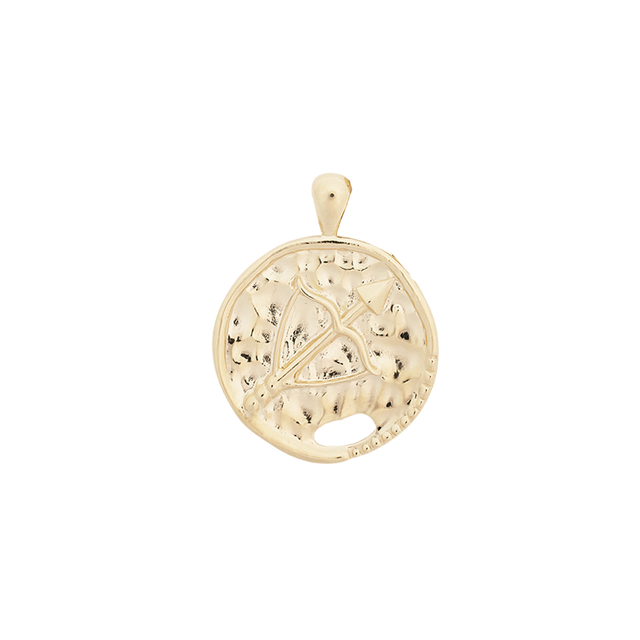 ‍Large Zodiac II Pendant (100% off)