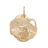 Scorpio Astrology Pendant