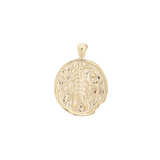 ‍Large Zodiac II Pendant (100% off)