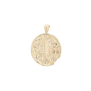 ‍Large Zodiac II Pendant (100% off)