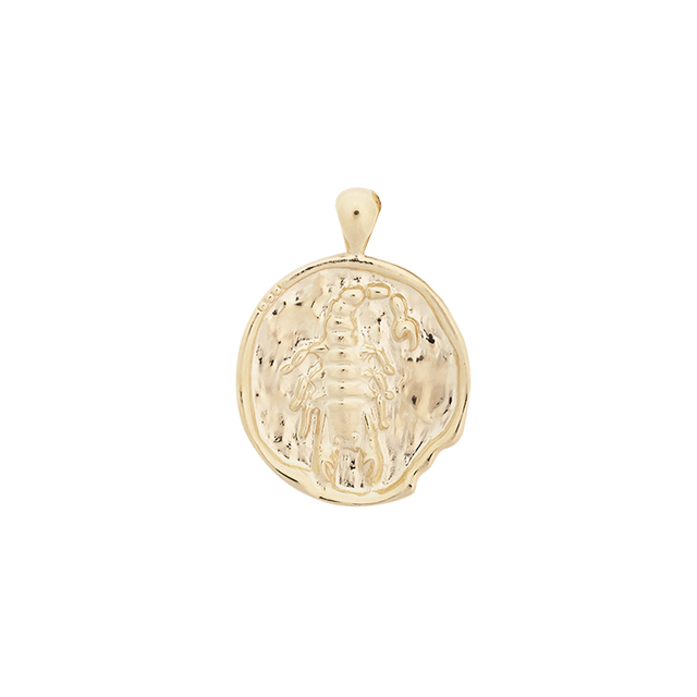 ‍Large Zodiac II Pendant (100% off)