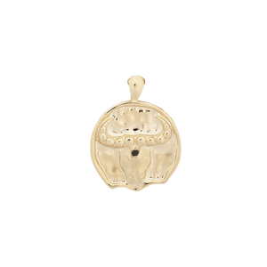 ‍Large Zodiac II Pendant (100% off)