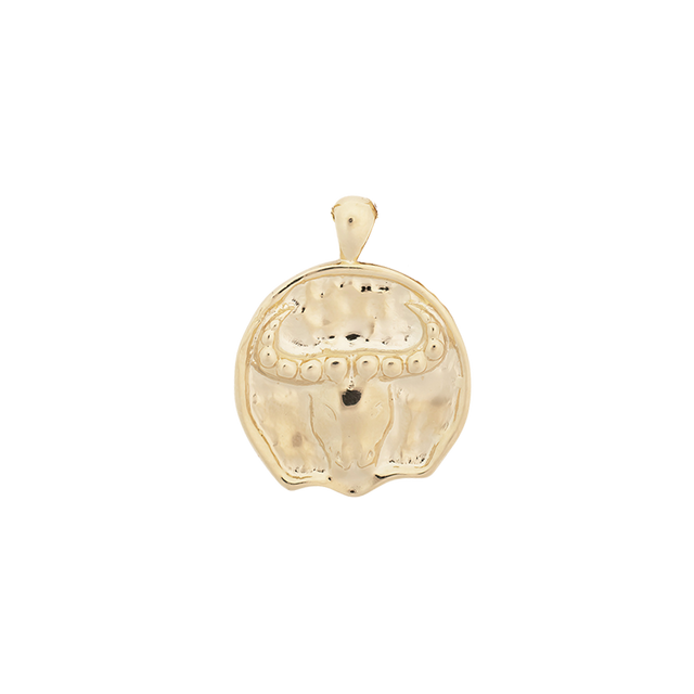 ‍Large Zodiac II Pendant (100% off)