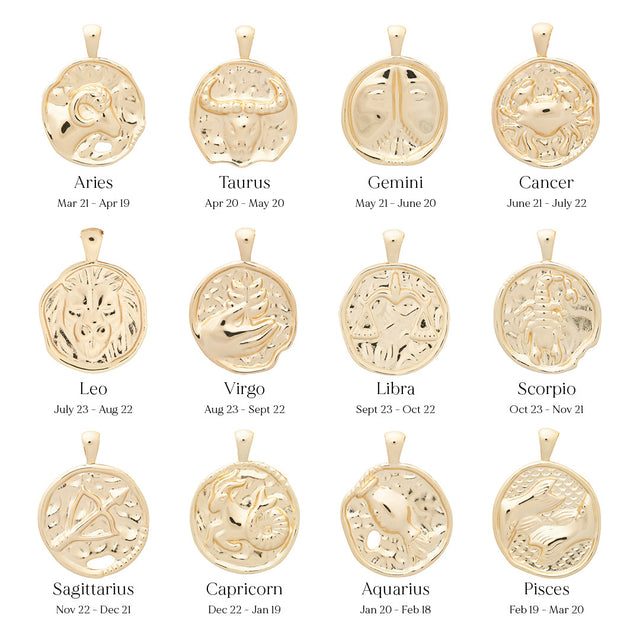 ‍Large Zodiac II Pendant (100% off)