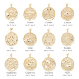 ‍Large Zodiac II Pendant (100% off)
