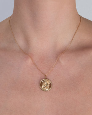 Capricorn Zodiac Necklace