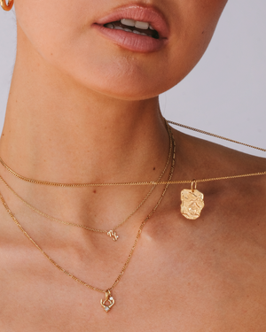 Capricorn Astrology Necklace