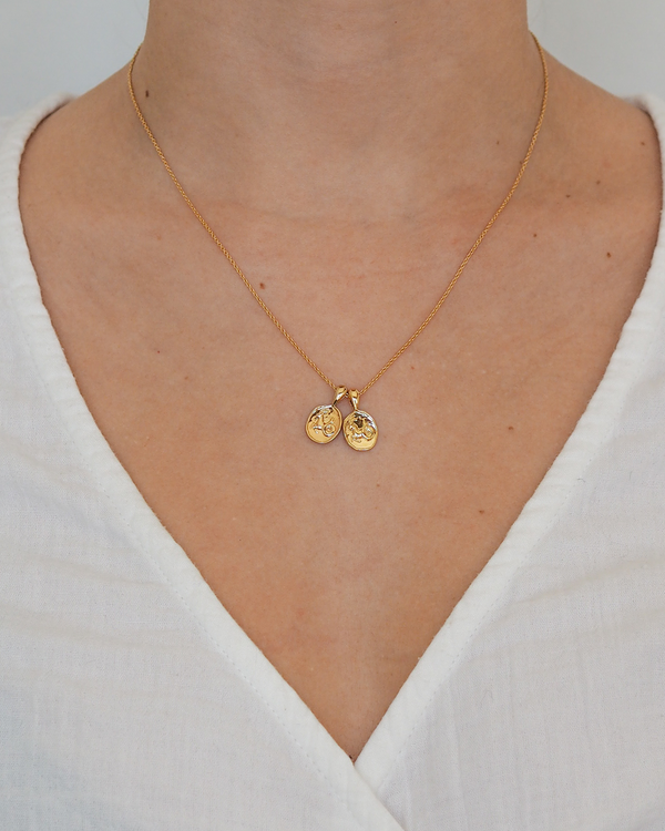 Capricorn II Necklace | 2 Small