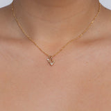 Capricorn Horoscope Necklace