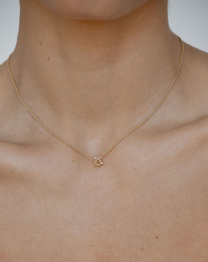 Taurus Symbol Choker