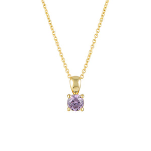 February Birthstone Necklace