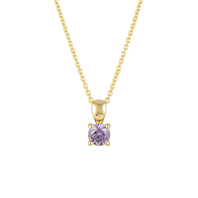 February Birthstone Necklace