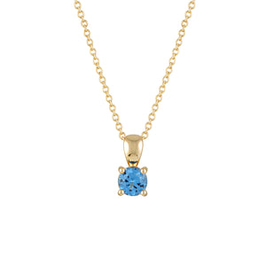 December Birthstone Necklace